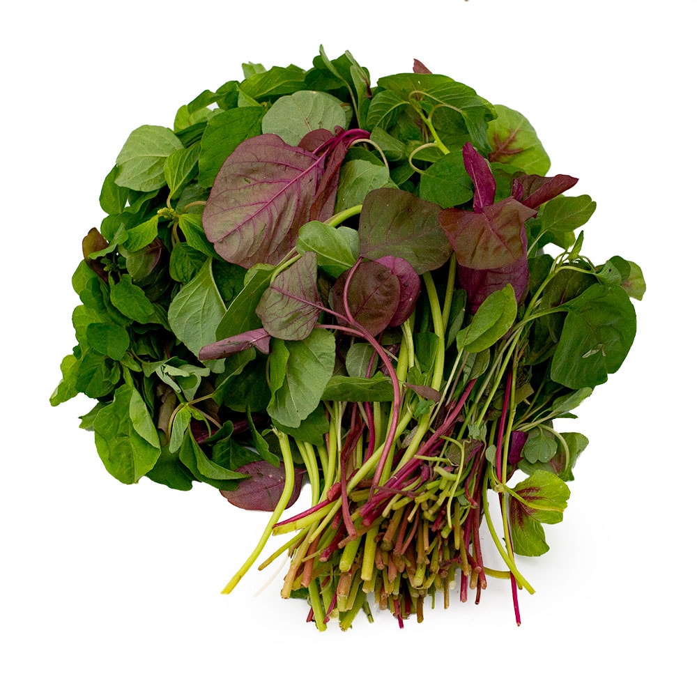 Small reddish-green amaranth 